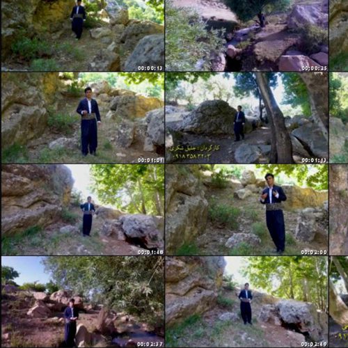 بهنام قهرمانی چاو به خمار